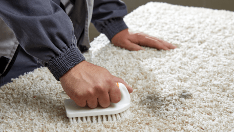 Professional Rug Cleaning Moolap