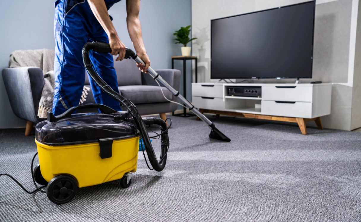 Extract Rug Cleaning Moolap Contact Office
